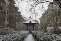 雪后社区
