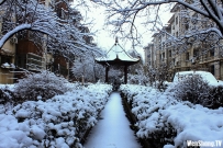 汶上雪景[2012年12月21日]