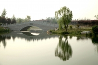 莲花湖晨韵（组图）