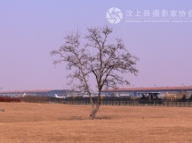 机场前草坪小景