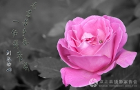 无意苦争春         一任群芳妒