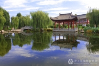 平湖春色【汶上礼佛大道景区】