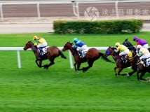 转贴：大年初三的香港均会赛马