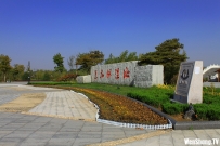 汶上莲花湖初秋景色