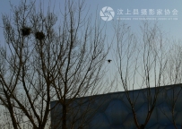 换 个方式生活