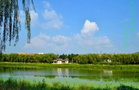 汶上东湖秋景色