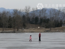 庙会