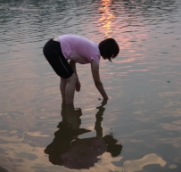 赶海的汶上人
