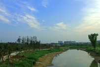 汶上风光之河流篇